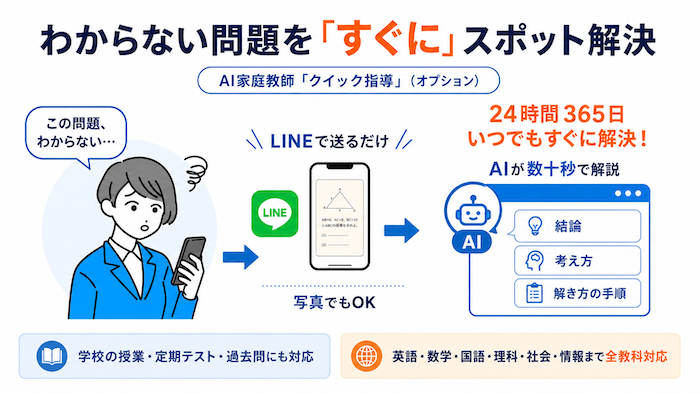 わからない問題を「すぐに」「いつでも」解決（オプション）