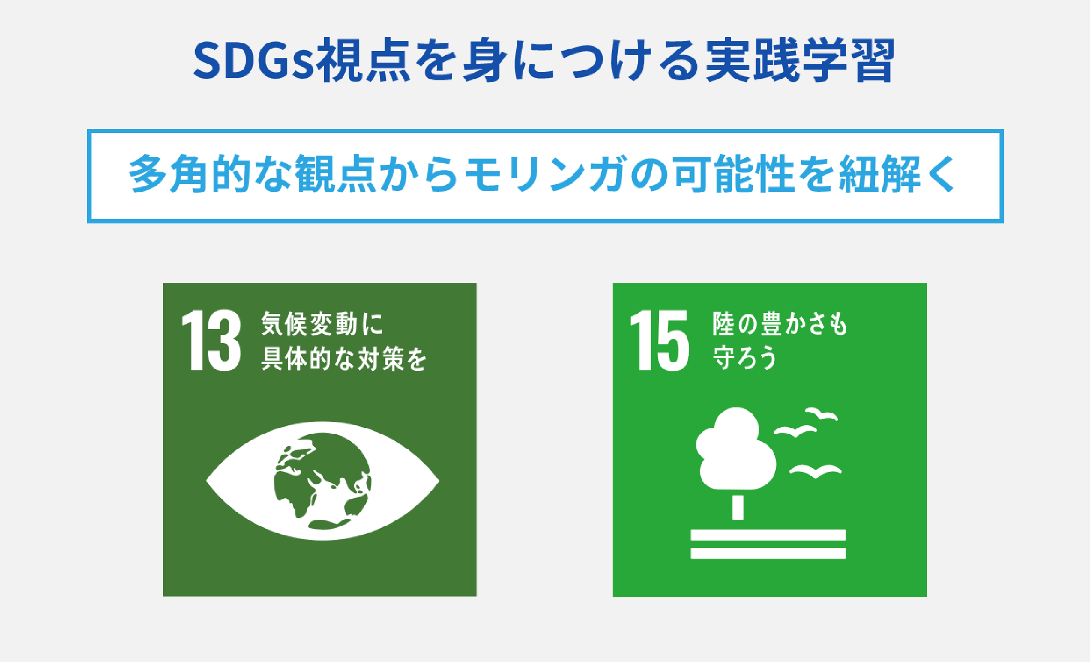SDGs視点を身につける実践学習