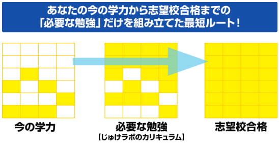 あなたの学力に合わせて効率的に学習できる受験対策カリキュラム