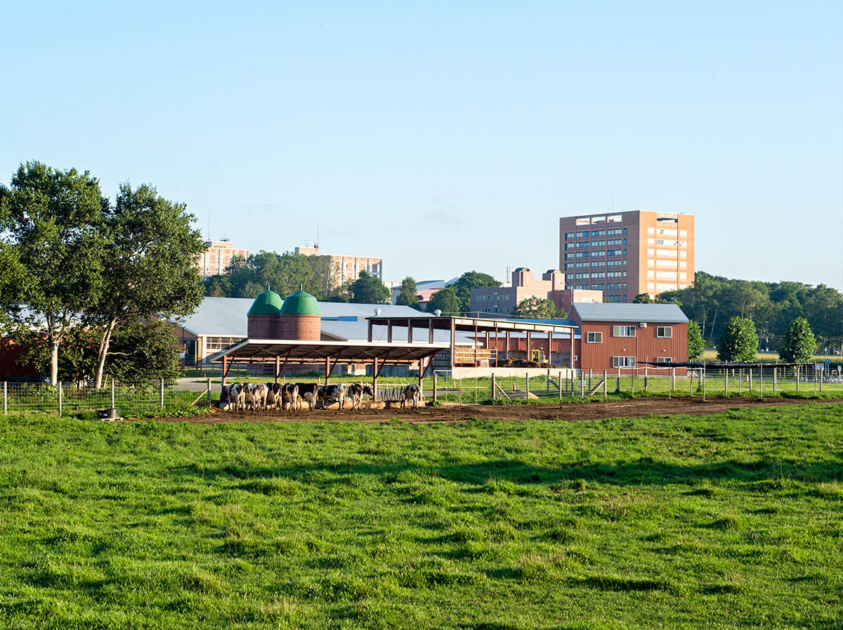 酪農学園大学