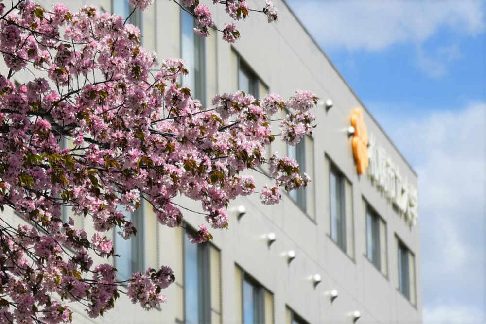 札幌市立大学