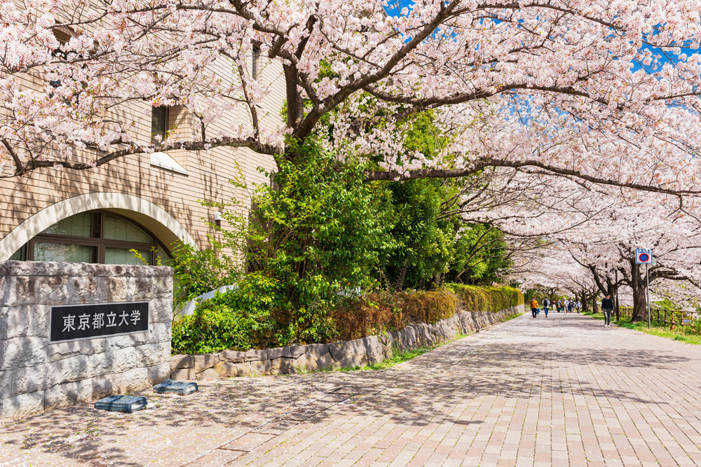 東京都立大学