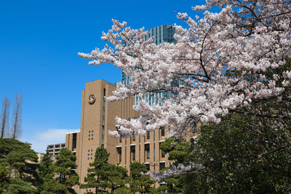 東北大学