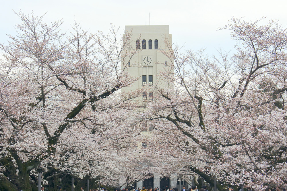 東京工業大学