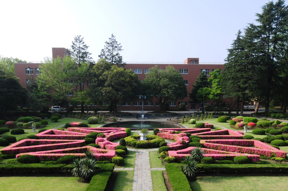 宇都宮大学