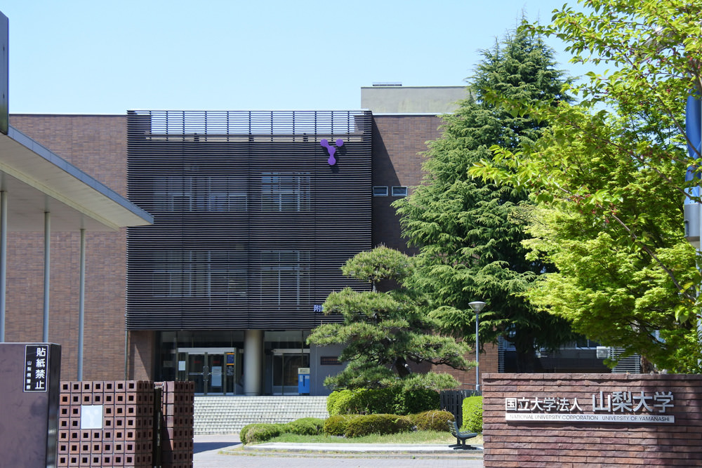 山梨大学