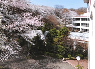 日本女子大学附属高校校舎