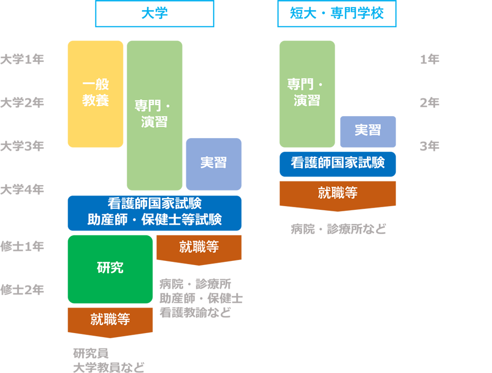 看護大学（看護学部・看護学科）卒業までの流れ