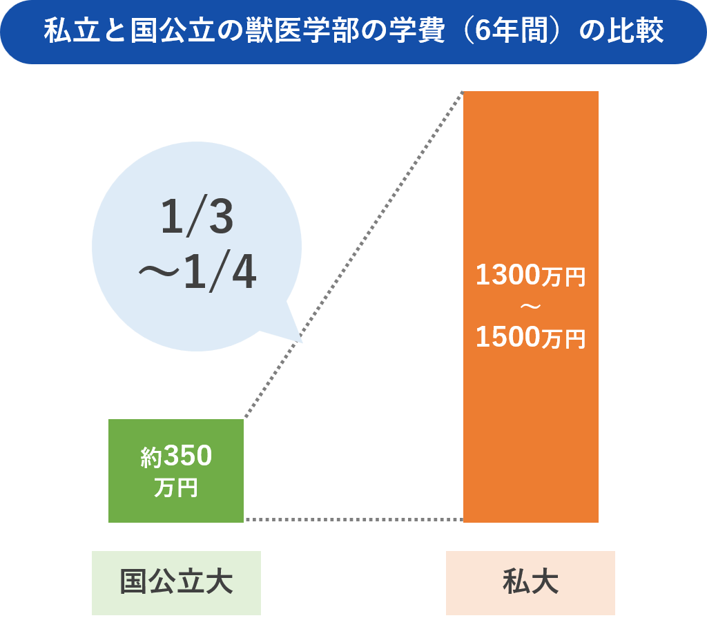 獣医になるにはいくらかかる？獣医になるまでにかかる学費について