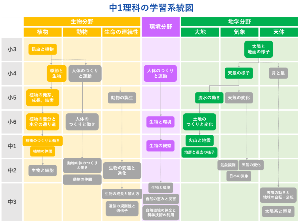 中1から始める高校受験対策！中学1年生の勉強時間や高校受験勉強法！ | 受験対策ならじゅけラボ予備校