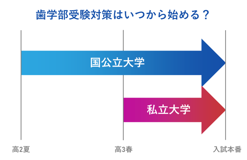 歯学部受験対策はいつから始める？