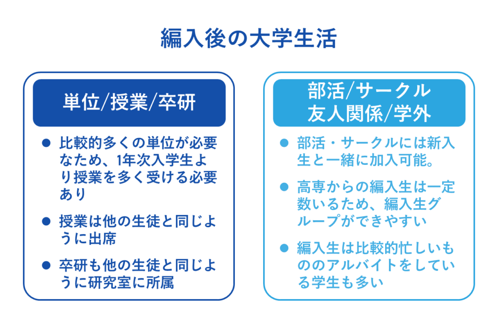 編入後の大学生活