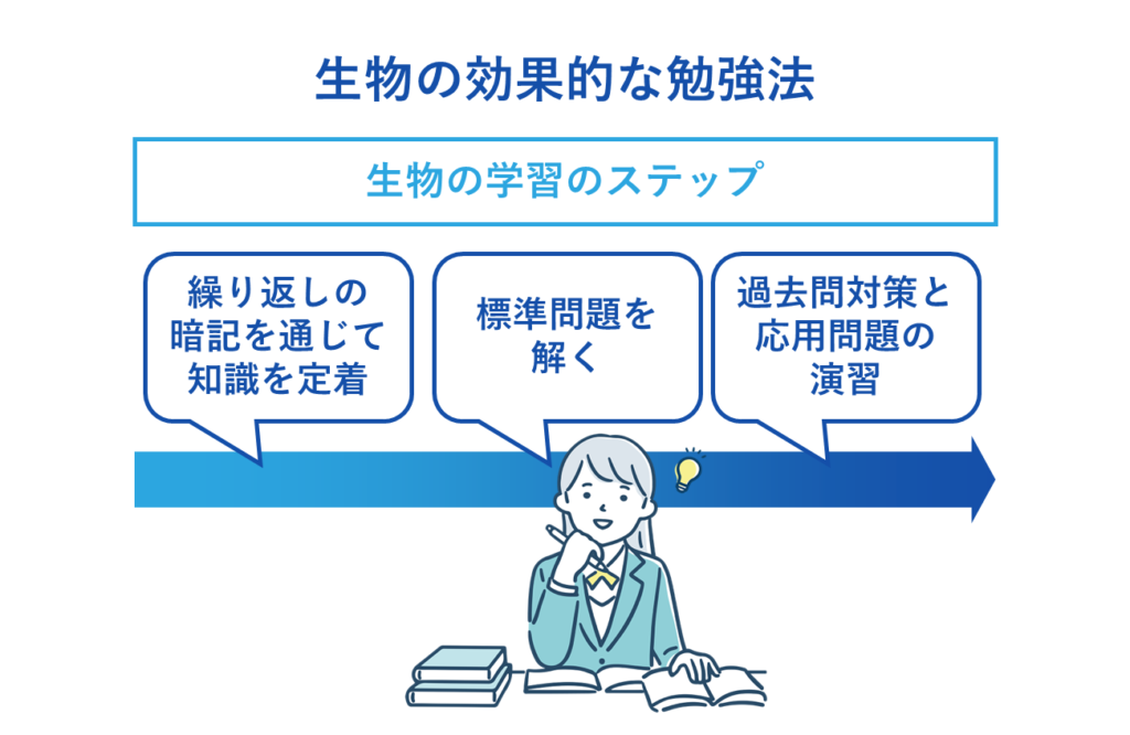 生物の効果的な勉強法