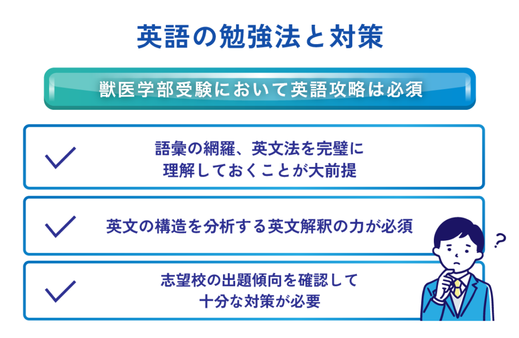 英語の勉強法と対策