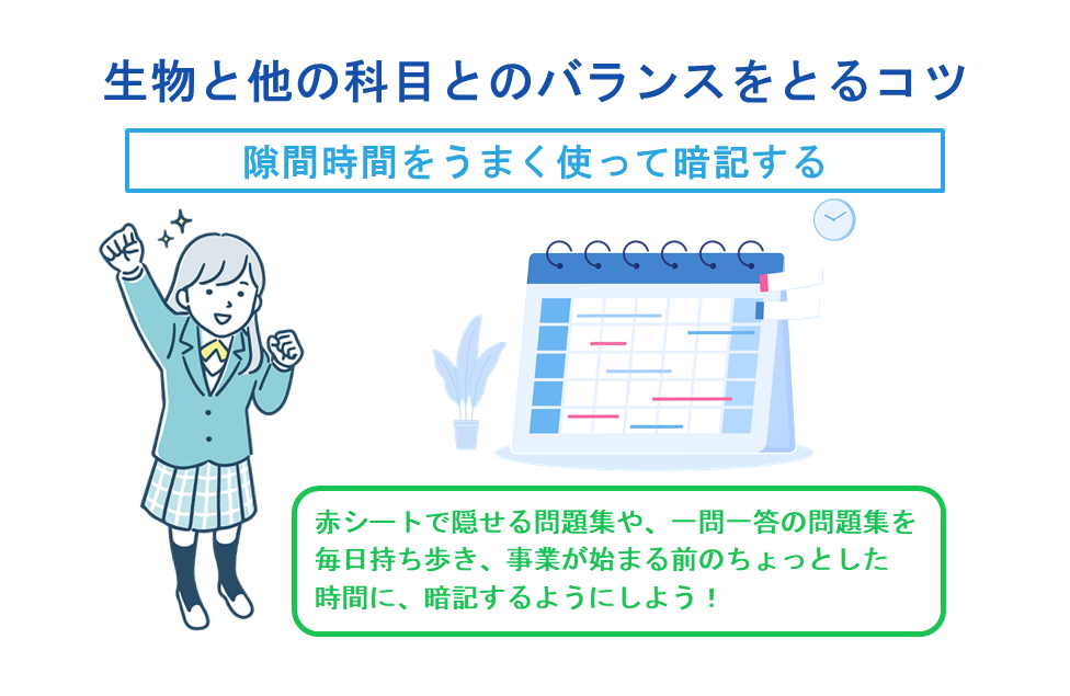 生物と他の科目とのバランスをとるコツ