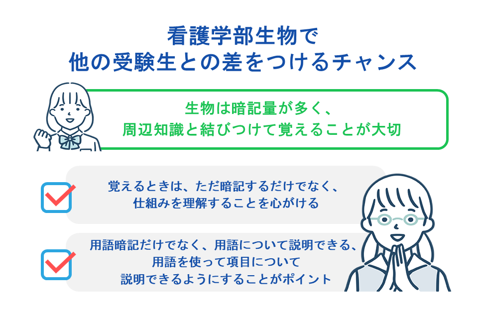 看護学部生物で他の受験生との差をつけるチャンス