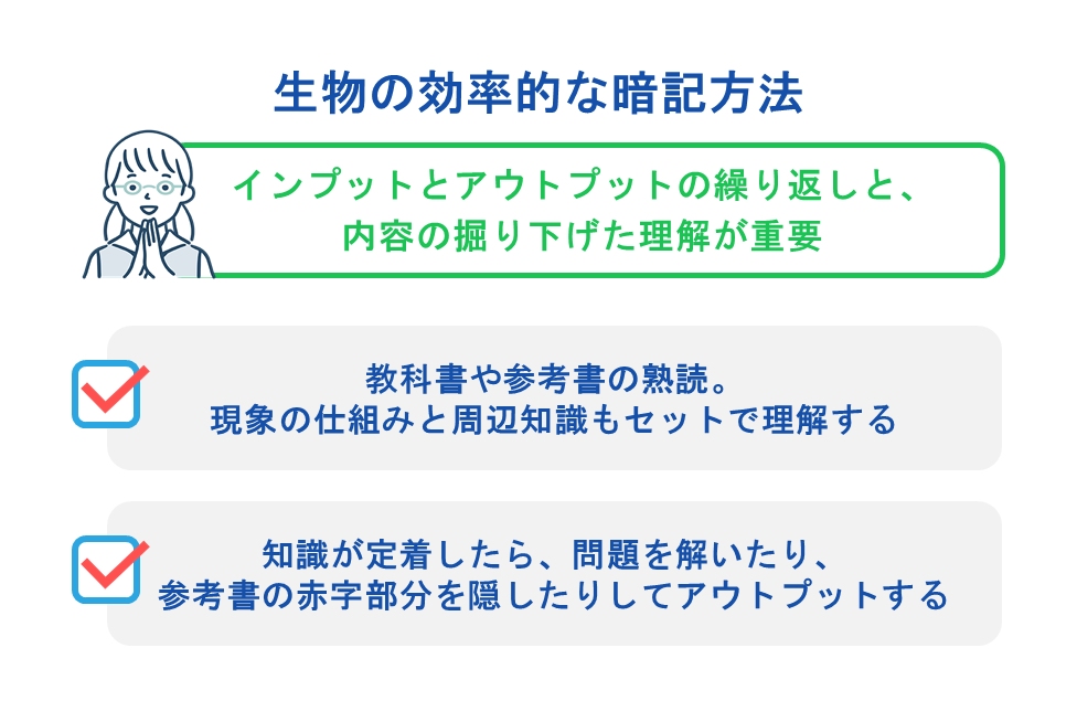 生物の効率的な暗記方法