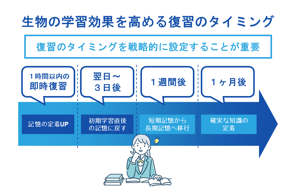 生物の学習効果を高める復習のタイミング