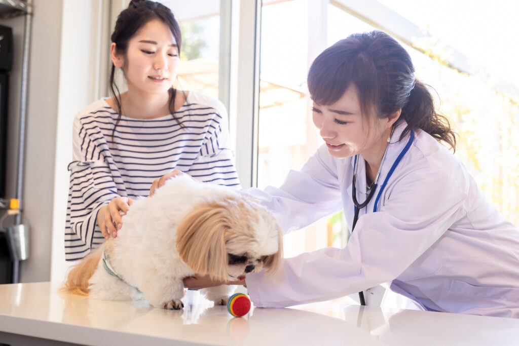 獣医学部に合格しやすい人の特徴