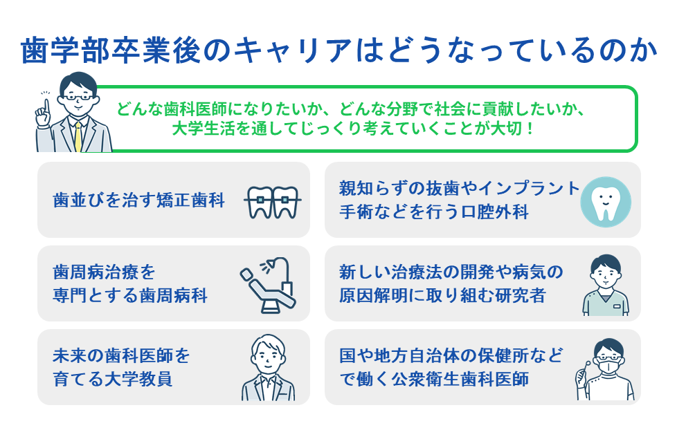 歯学部卒業後のキャリアはどうなっているのか