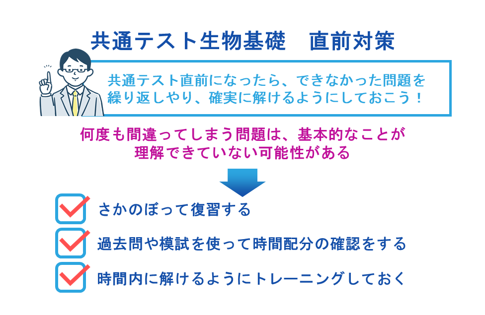 共通テスト生物基礎 直前対策方法