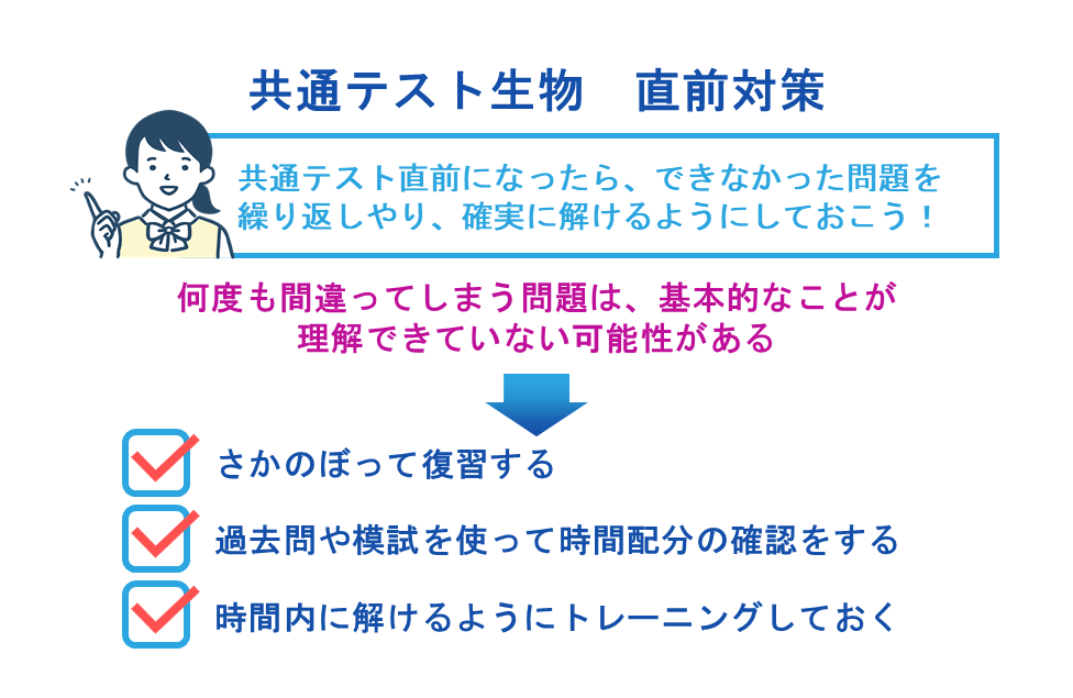 共通テスト生物　直前対策