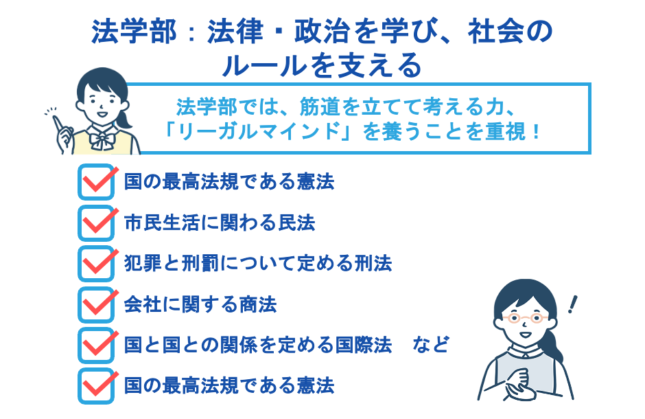 法学部：法律・政治を学び、社会のルールを支える