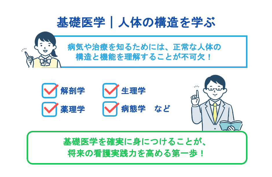 基礎医学｜人体の構造を学ぶ