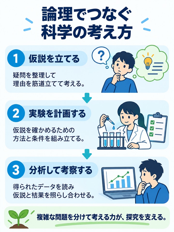 仮説を立て、実験を計画し、データを分析して考察する科学的な思考の流れ