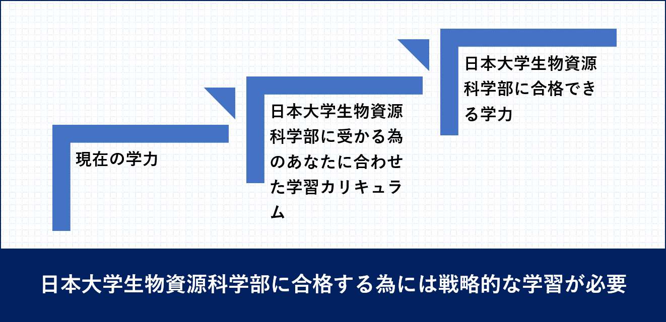 日本大学生物資源科学部受験戦略